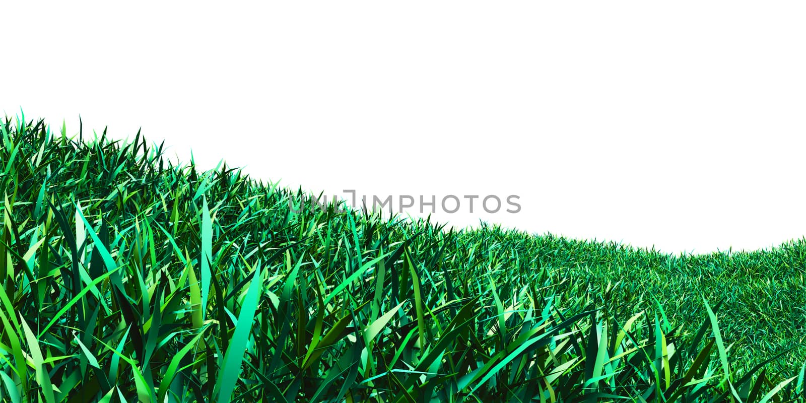 Background image of lush grass field. 3D illustration isolated on white background