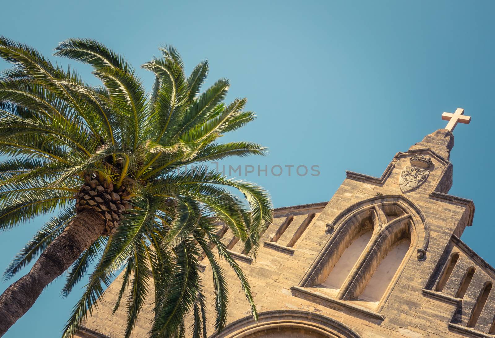 An Ancient Historic Church (Sant Jaume) And A Palm Tree In Mallorca, Spain, With Copy Space