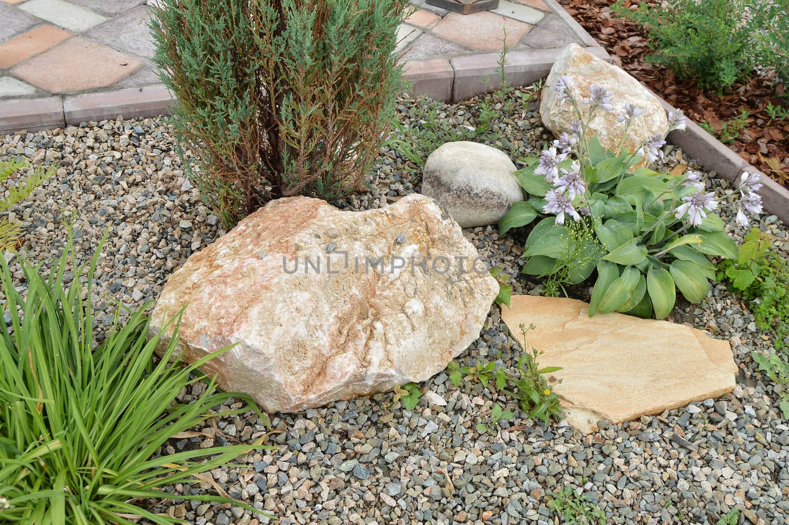 Blooming flowers in flower bed with rocks, Alpine slide.