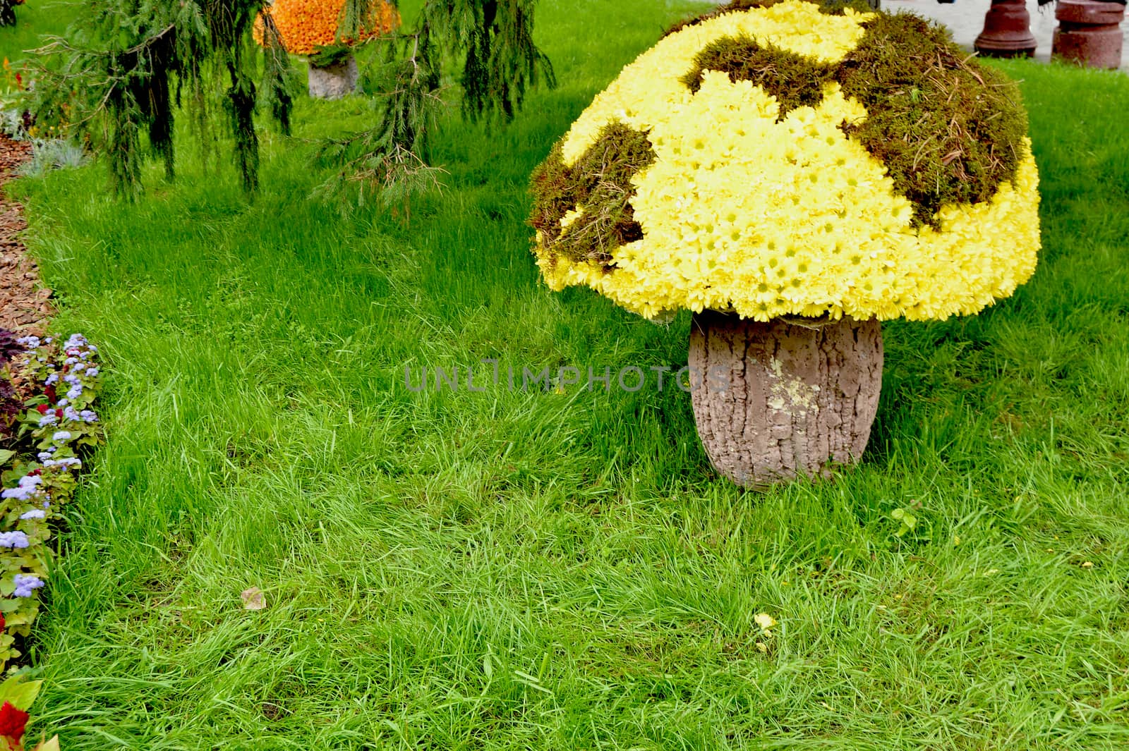 Mushroom, made of flowers beautiful garden design.