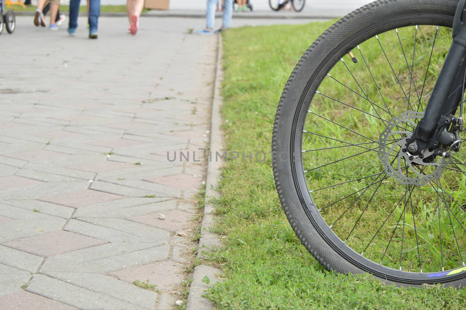 Bicycle wheel, part outside on a summer day.