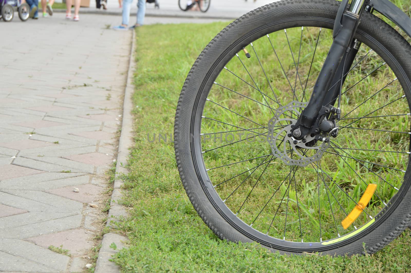 Bicycle wheel, part outside on a summer day.