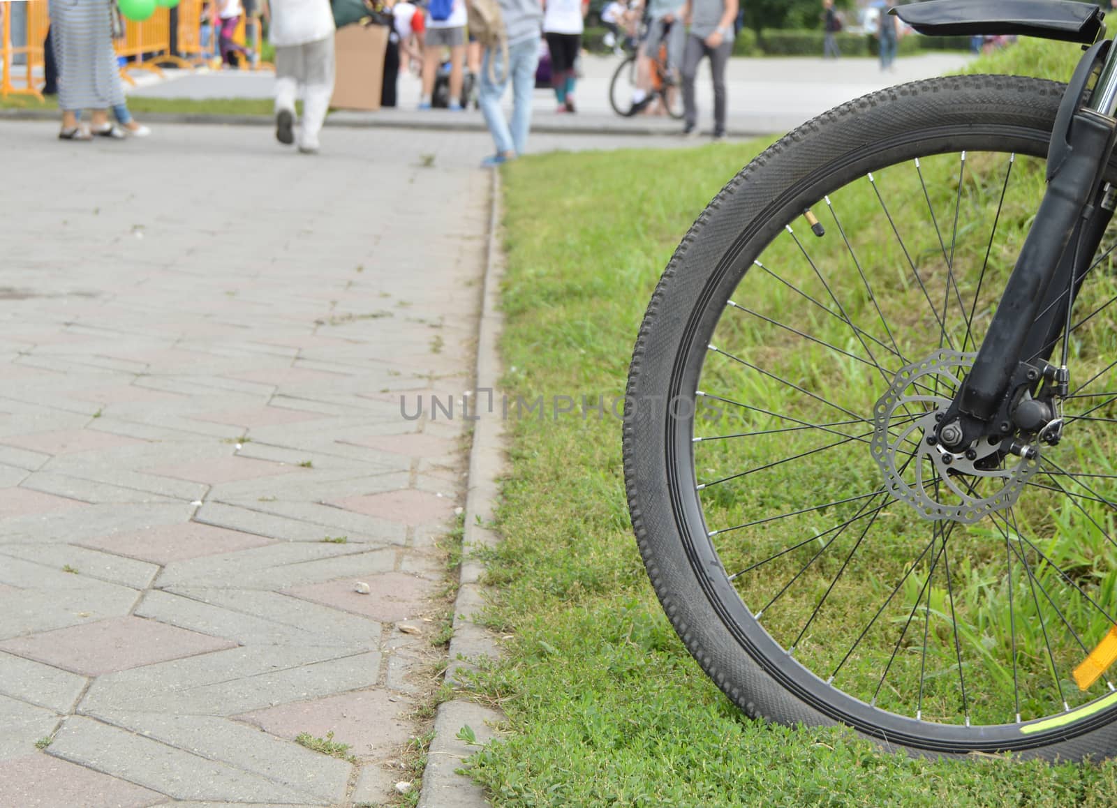 Bicycle wheel, part outside on a summer day.