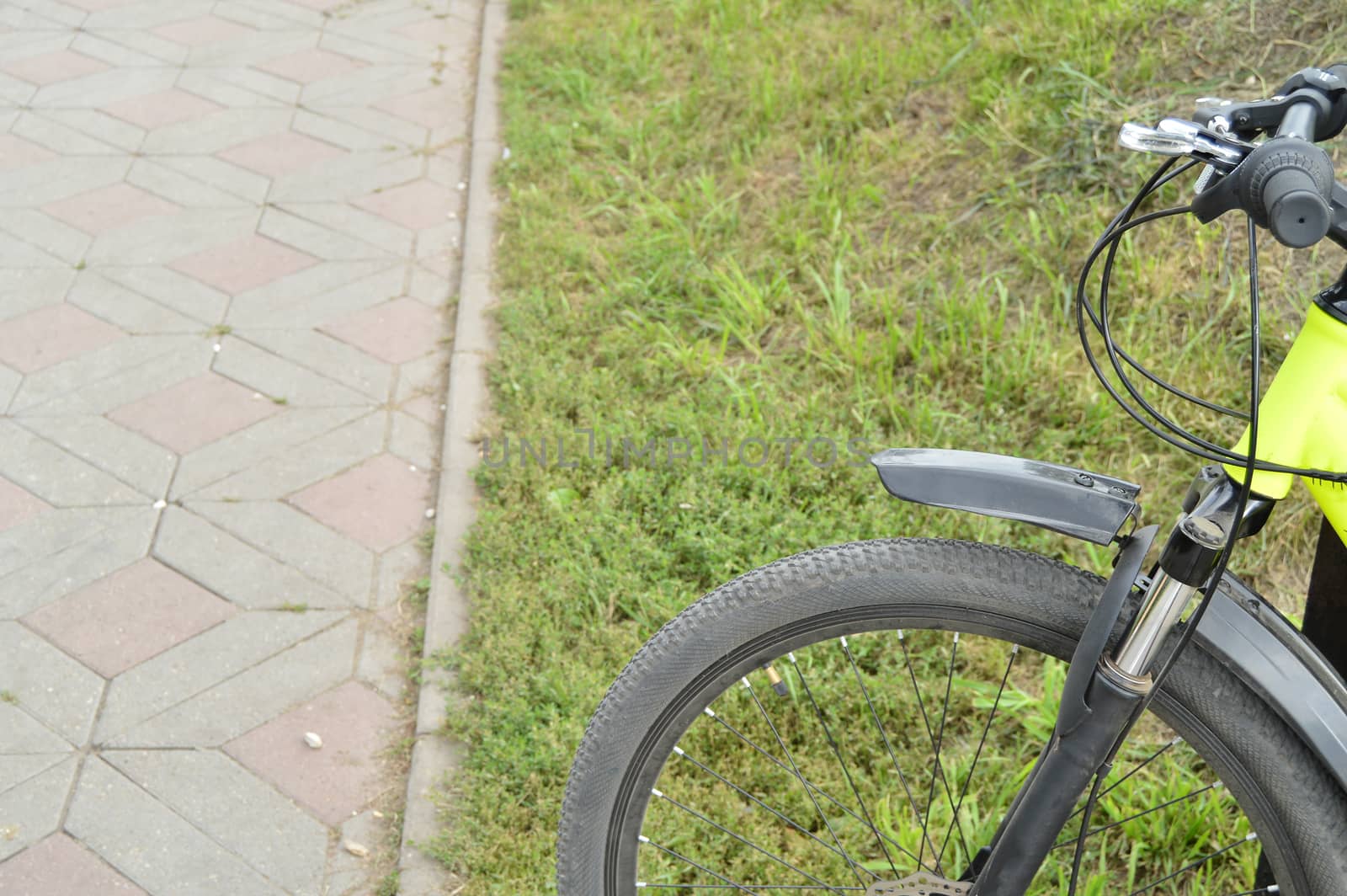 Bicycle wheel, part outside on a summer day.