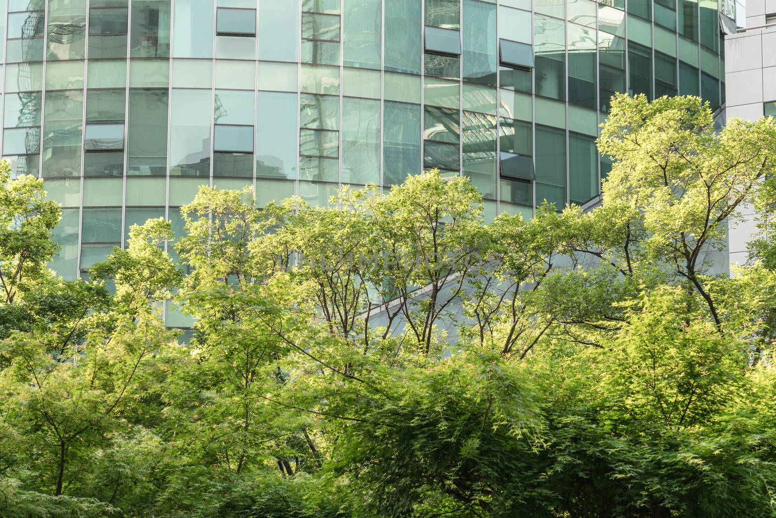 The landscape in the center of city, modern commercial background. A sunny day.