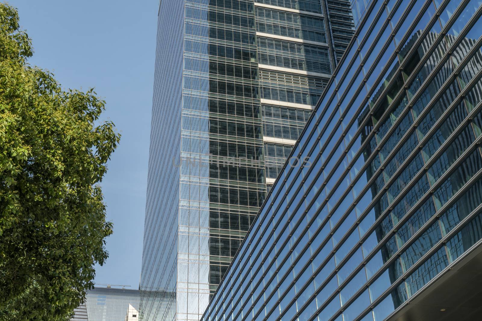 The landscape in the center of city, modern commercial background. A sunny day.