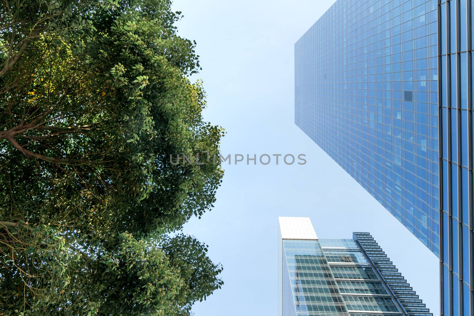 The landscape in the center of city, modern commercial background. A sunny day.
