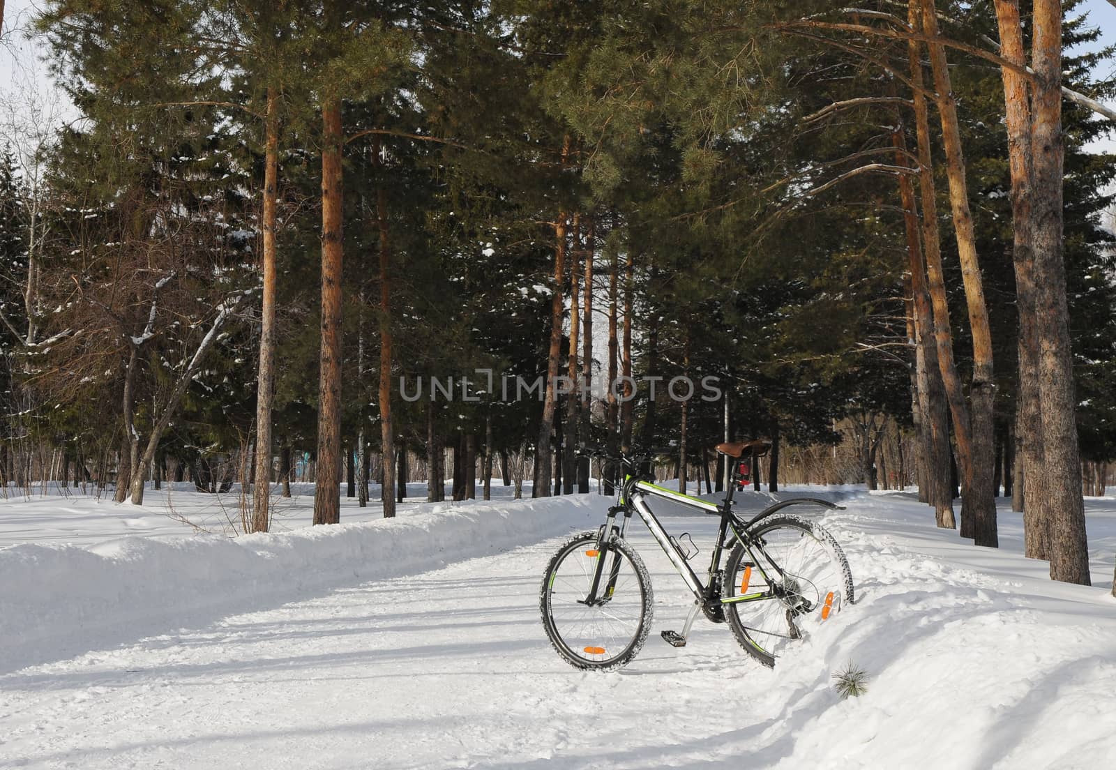 The bike stands on snow in winter Park.