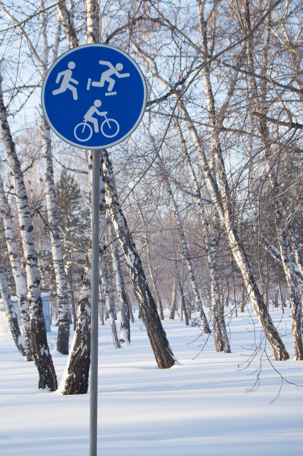 Concept sports activities in the winter. Sign of the Bicycle, skating and Jogging.
