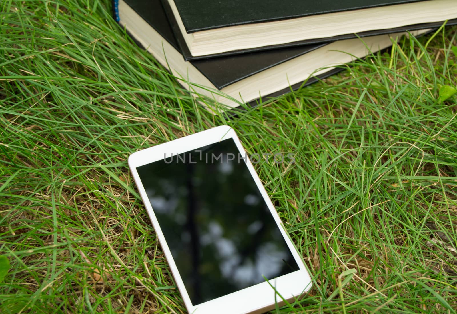 Books, smartphone on a green grass background, concept of education and training by claire_lucia