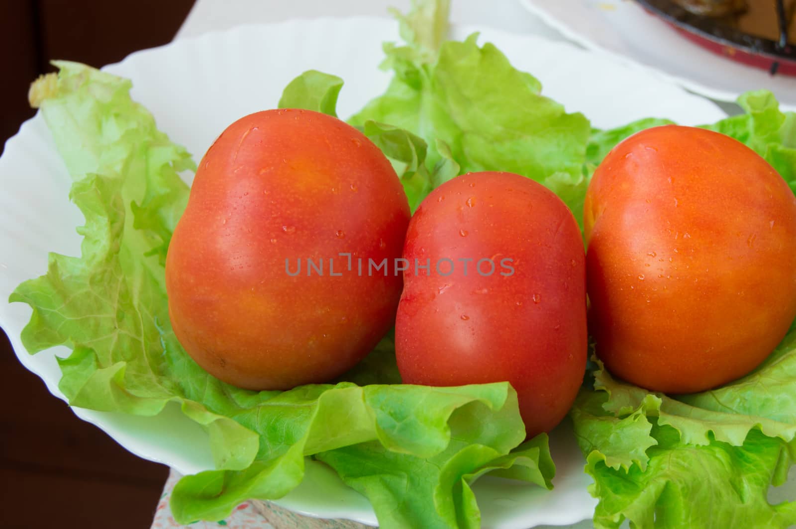 Tomatoes and lettuce, healthy food concept and weight loss.