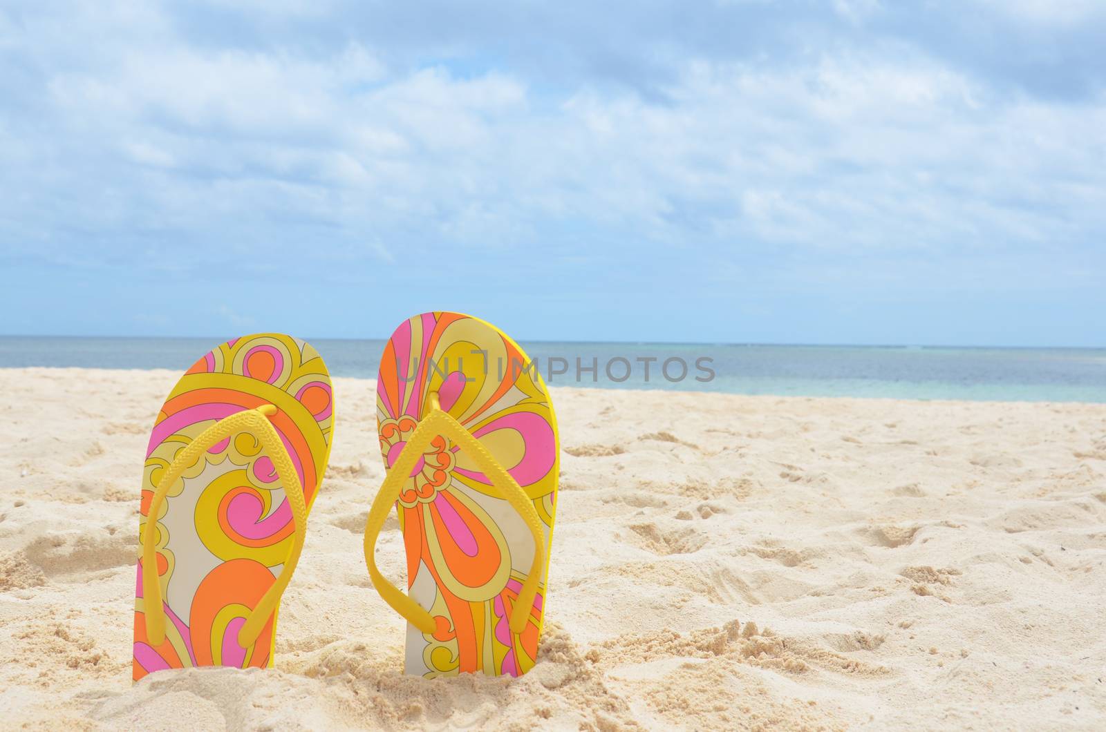 Flip flops in sand on a beautiful background of sea and sky. Place for your text.