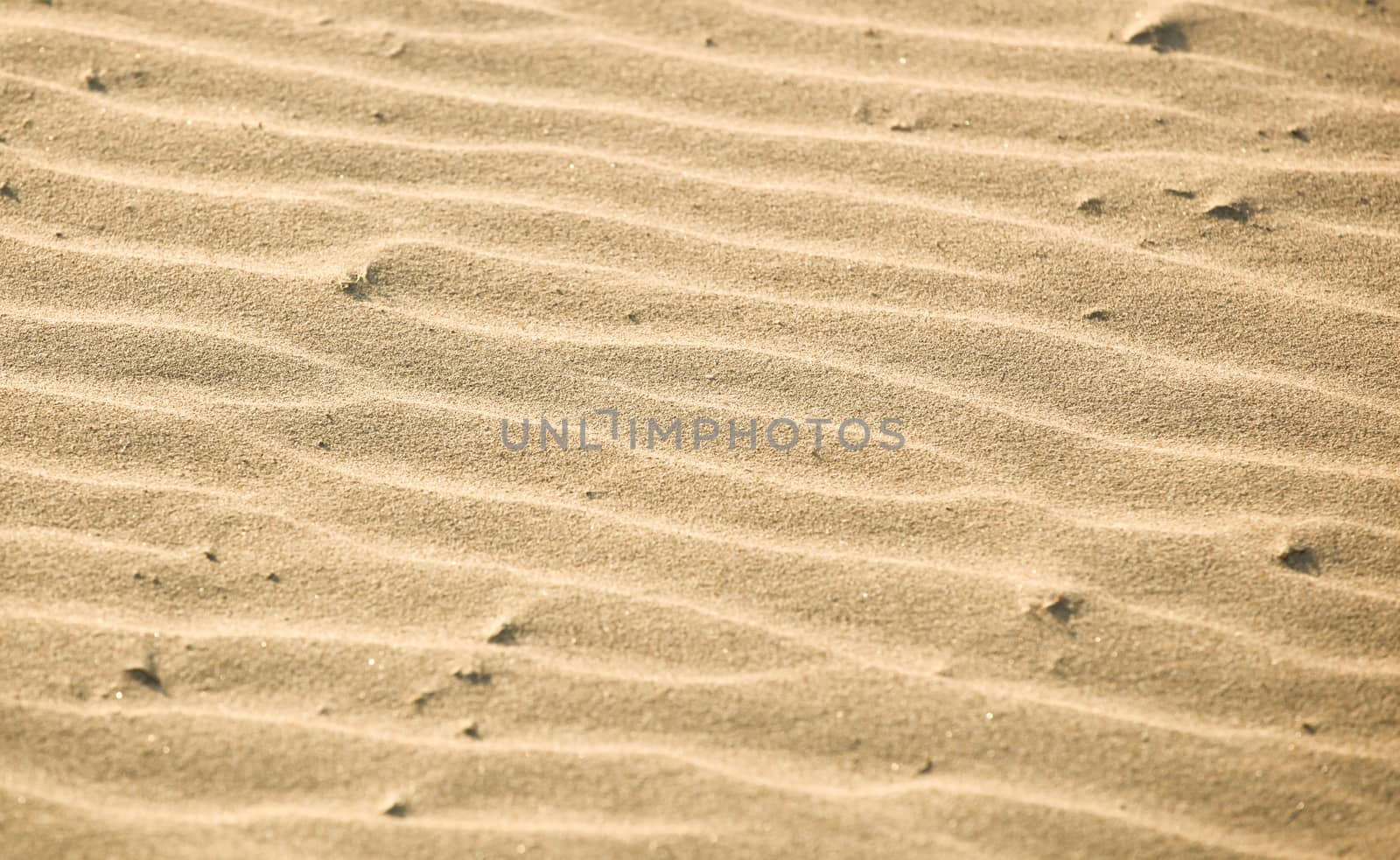 Close-Up Of Sand Background Texture