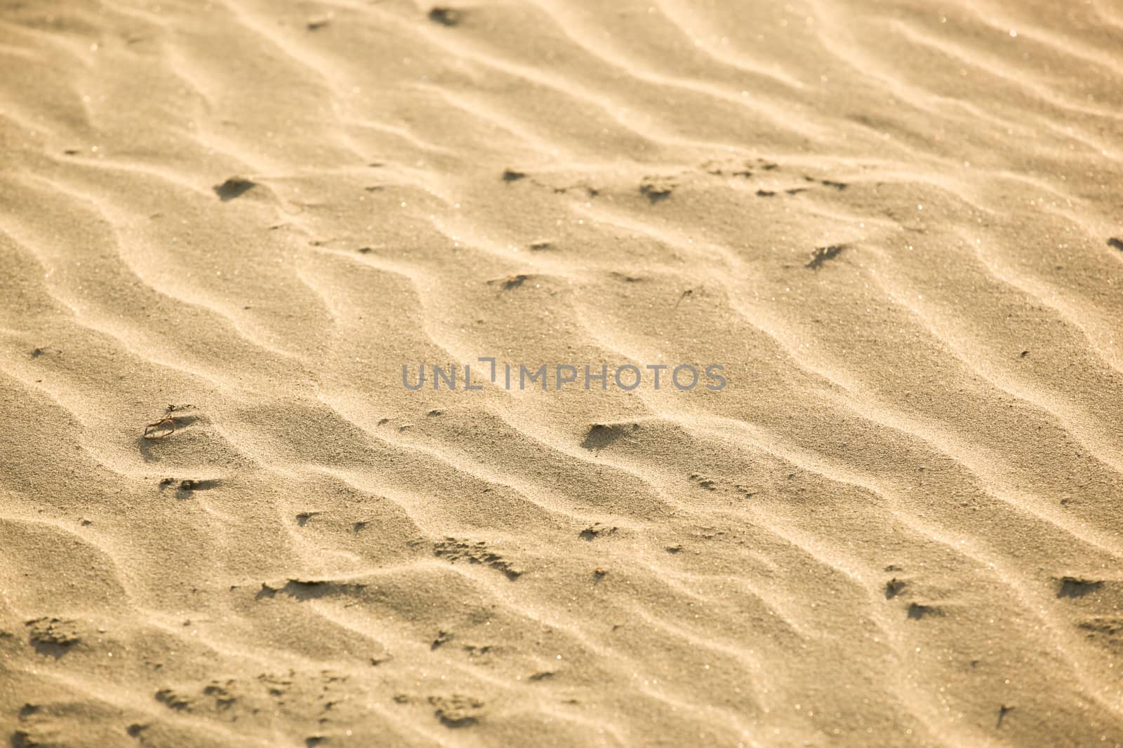 Close-Up Of Sand Background Texture