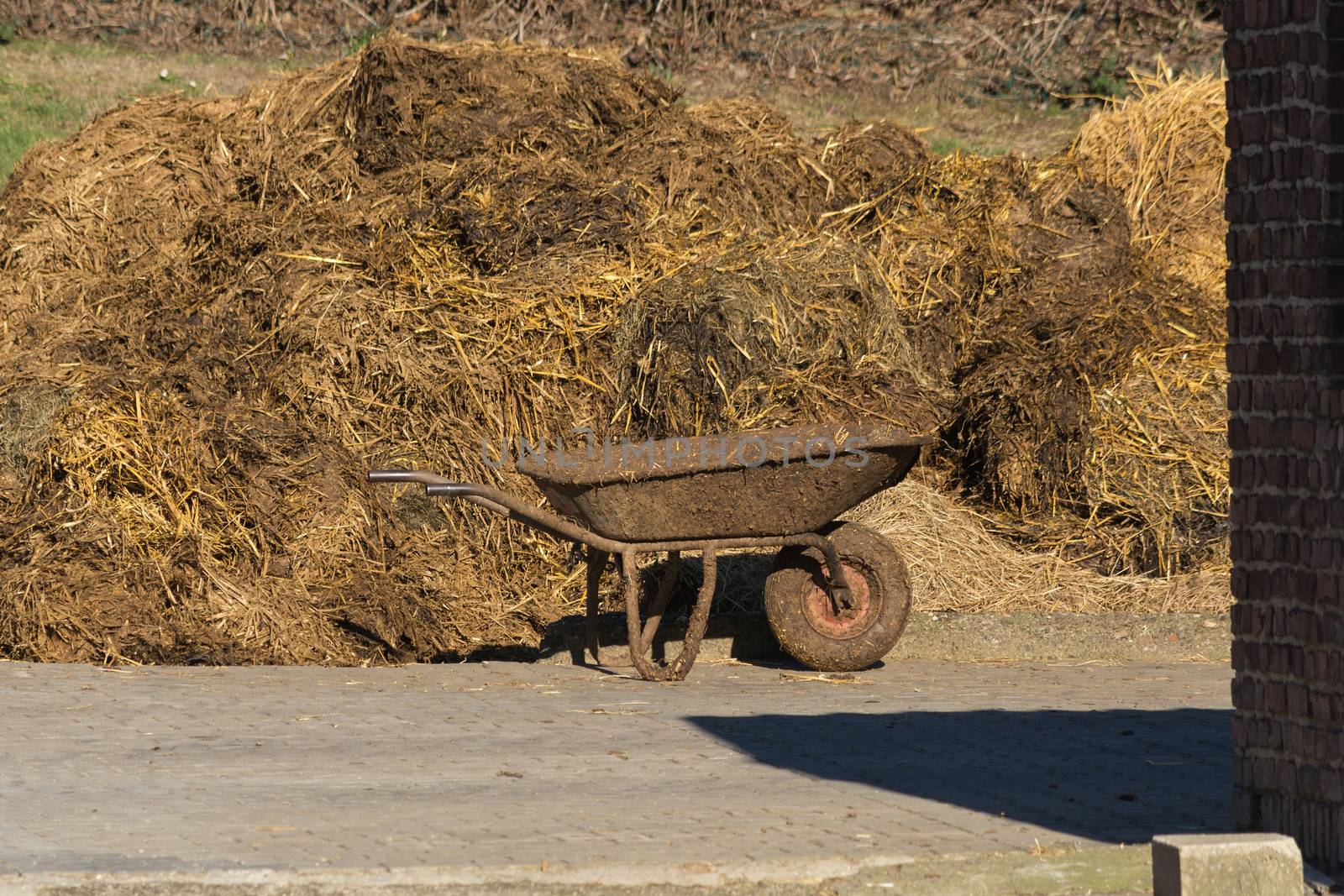 Pile of stinking dung. Manure heap on a farmhouse in Germany
