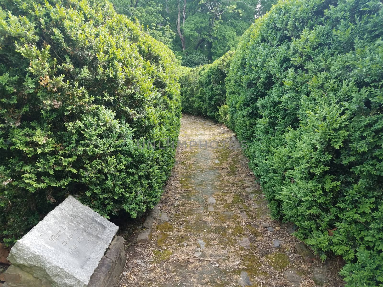old brick or stone path or trail in the garden with green bushes and stone inscription
