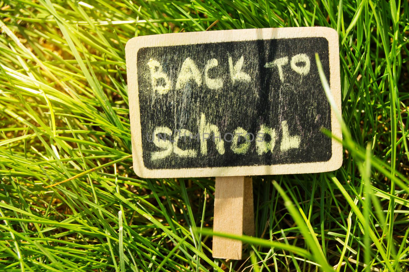 Written back to school, chalked on a blackboard against a green grass background, bright sunlight.