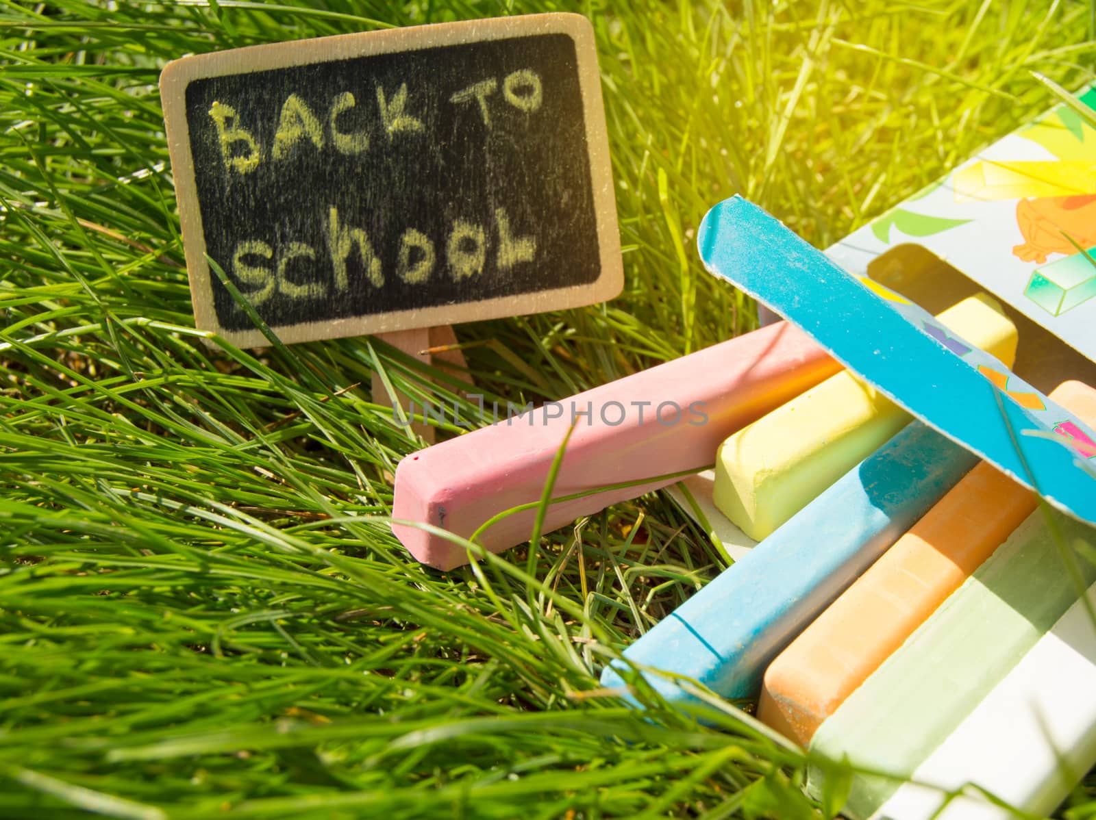 Mini blackboard written Back to school and colorful chalk on a green grass background by claire_lucia