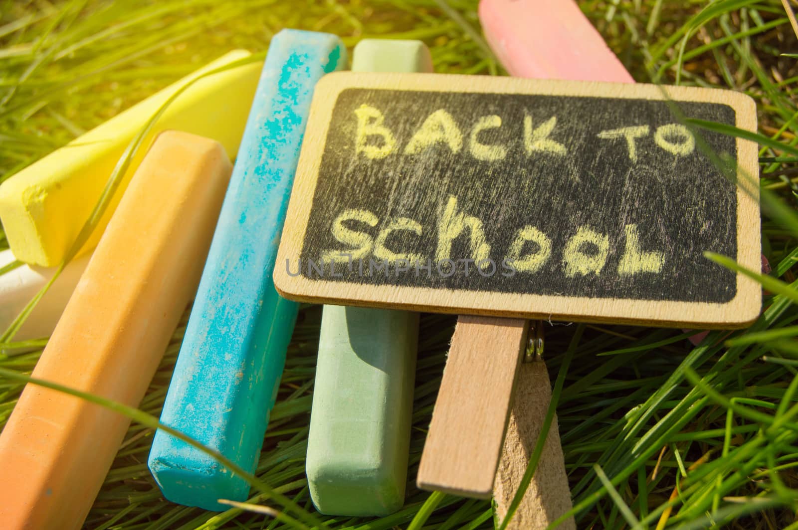 Mini blackboard written Back to school and colorful chalk on a green grass background by claire_lucia