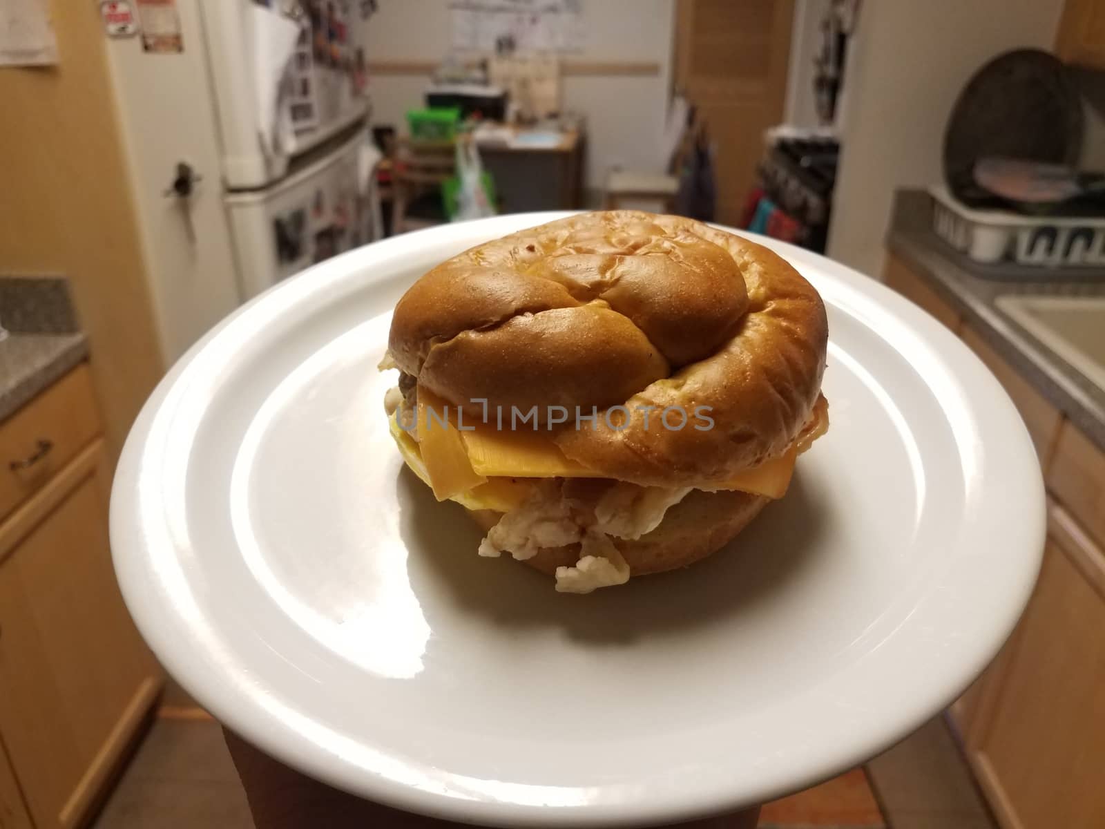 hand holding egg, bacon, and cheese sandwich on white plate in kitchen