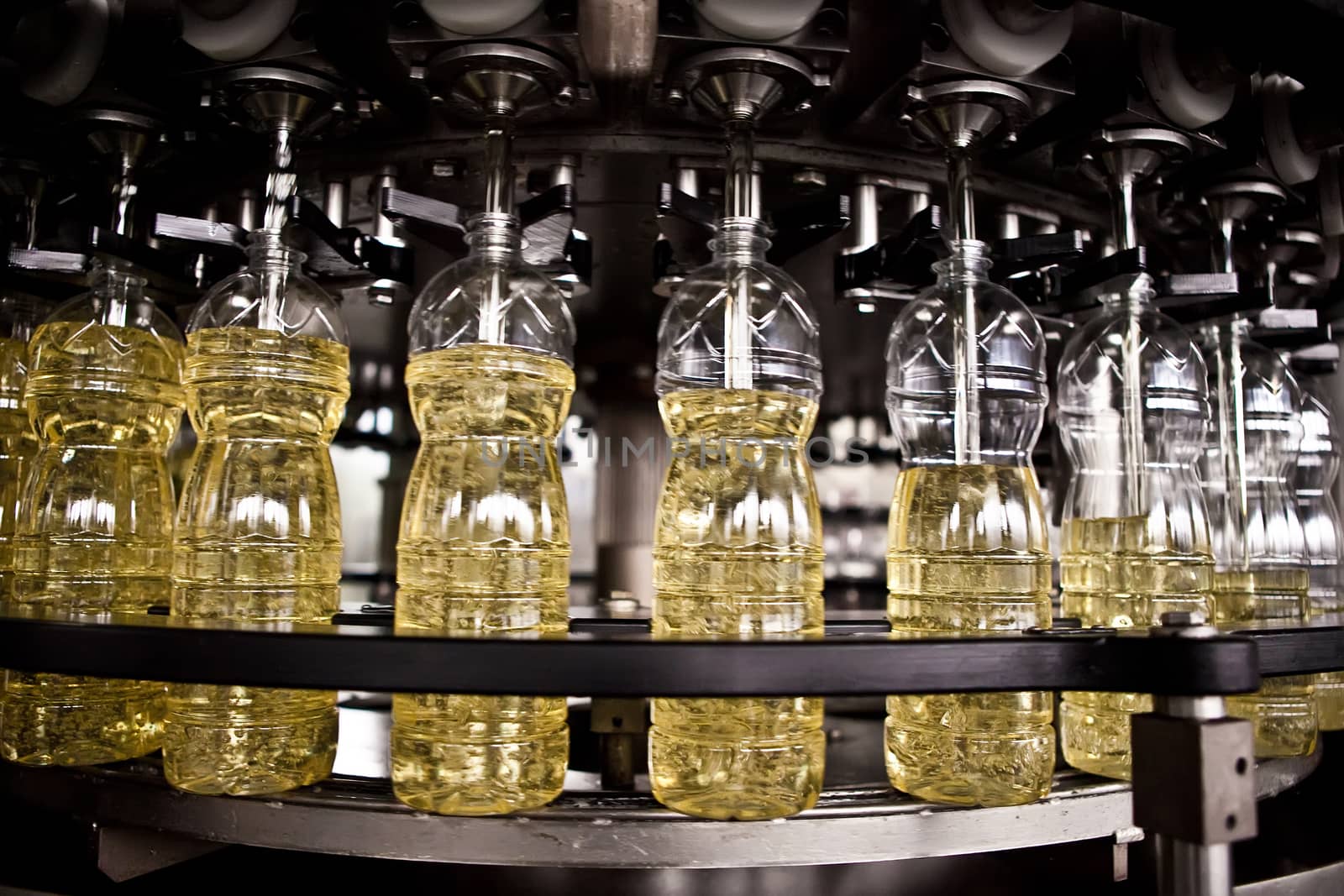 Sunflower oil in the bottle moving on production line. Shallow dof. by sarymsakov