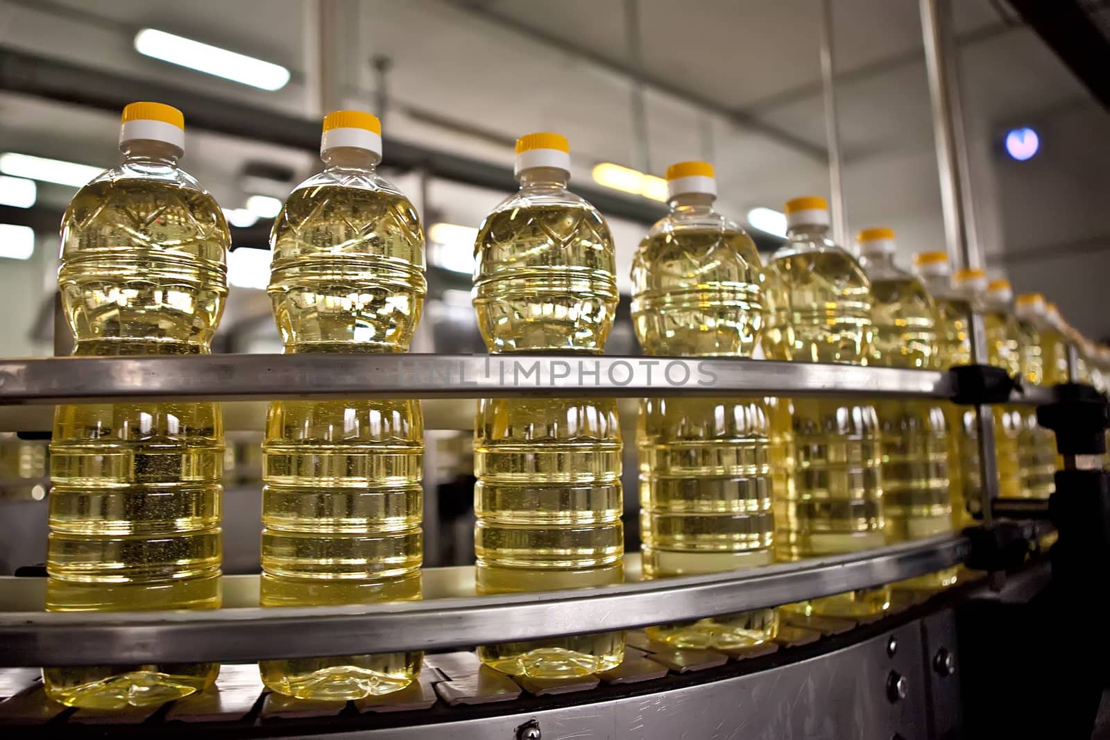 Sunflower oil in the bottle moving on production line. Shallow dof. by sarymsakov