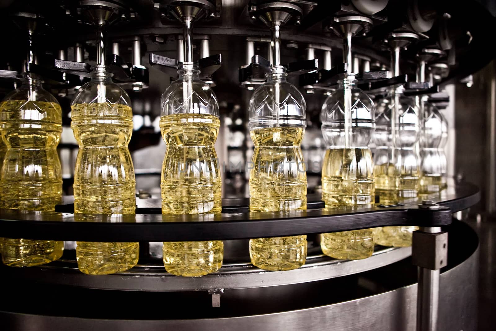 Sunflower oil in the bottle moving on production line. Shallow dof. by sarymsakov