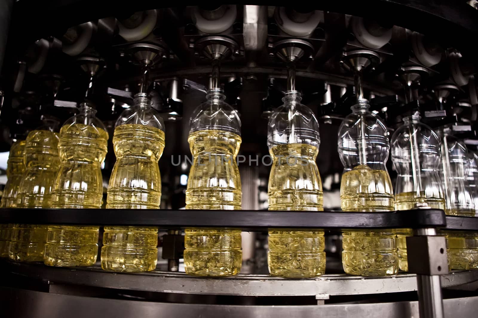 Sunflower oil in the bottle moving on production line. Shallow dof. by sarymsakov