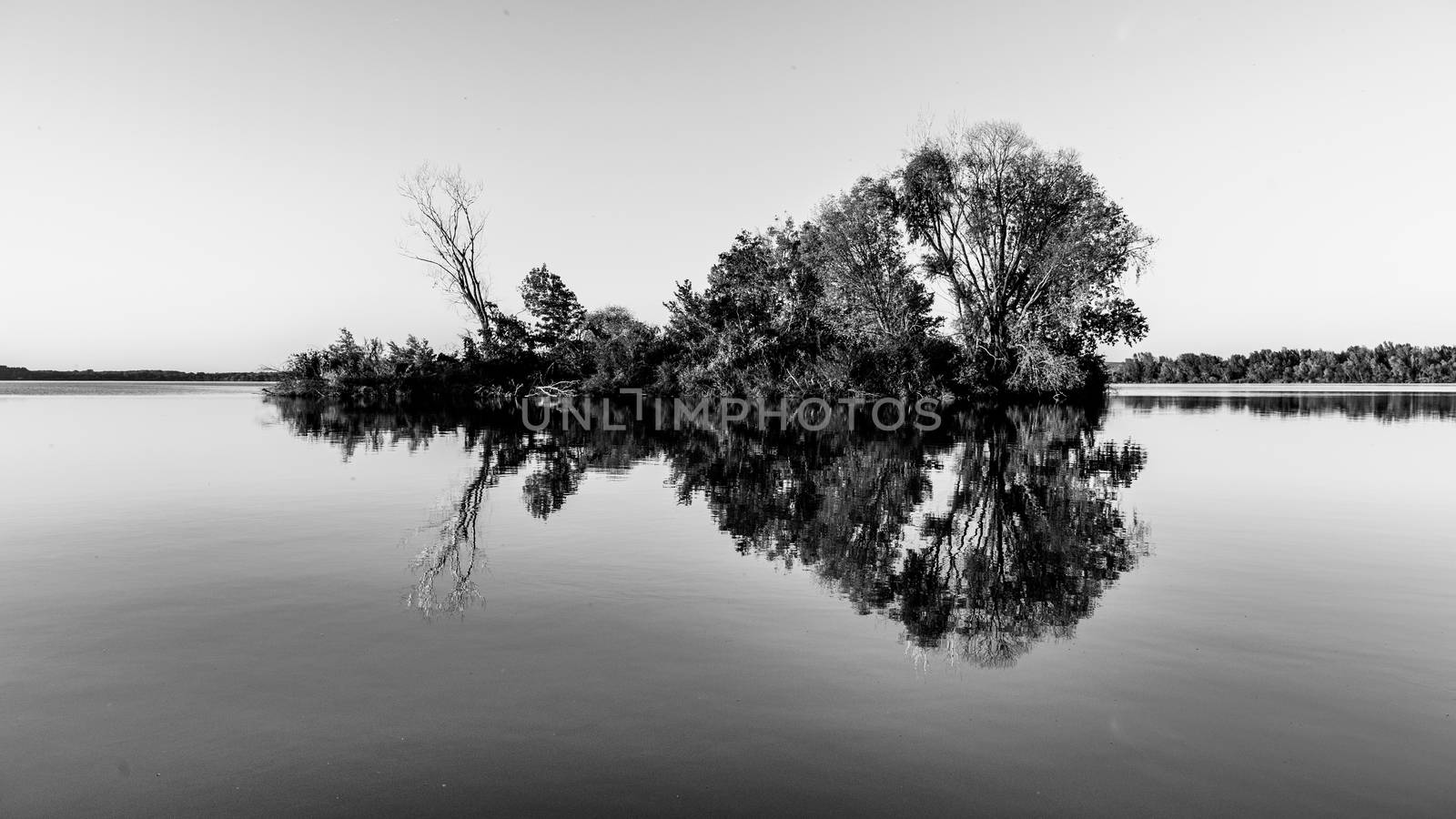Small island with trees reflected in calm water of Nove Mlyny Dam, Moravia, Czech Republic. Black and white image.