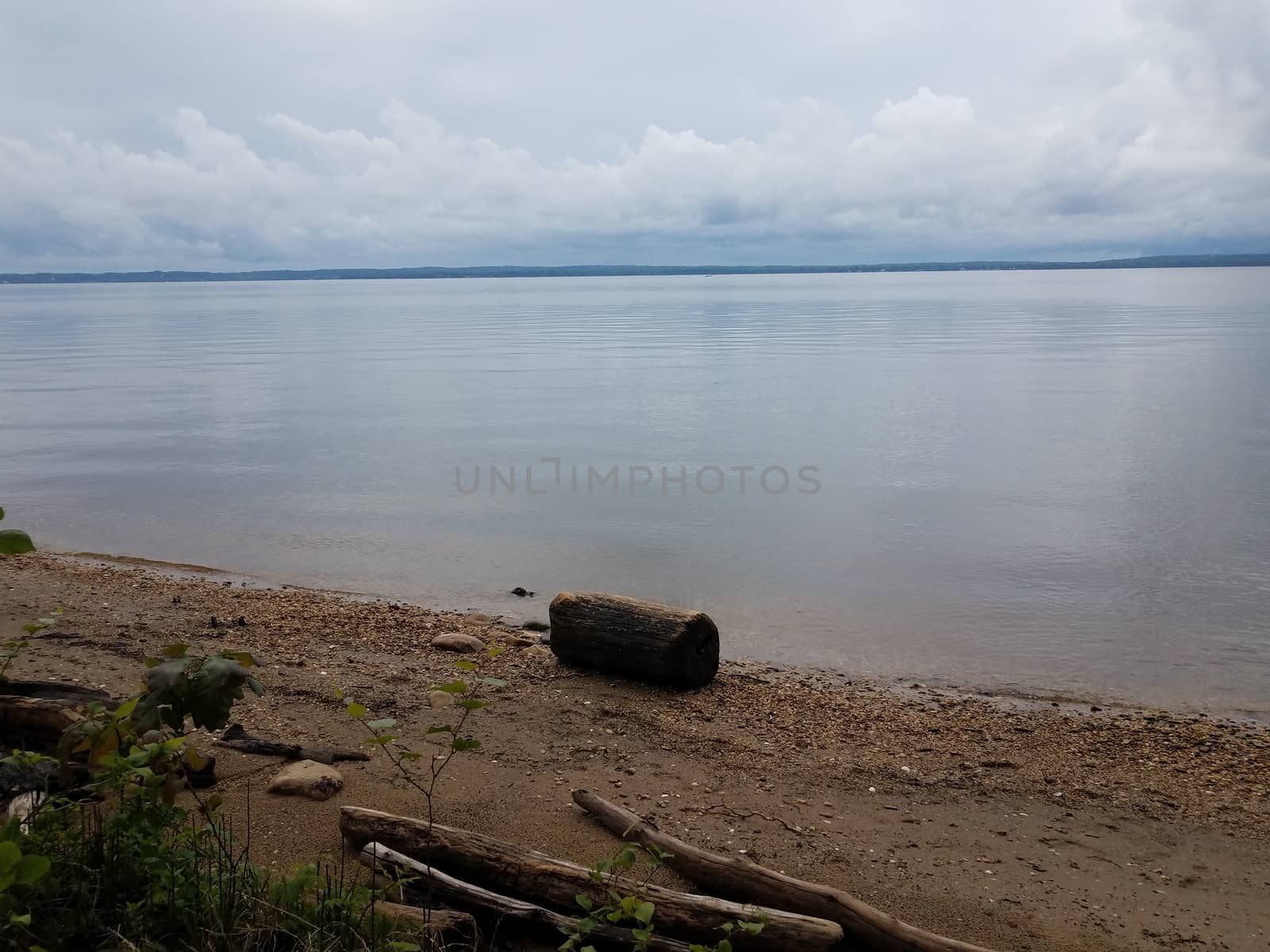 shore of river with calm water, rocks, sand, wood, and shells