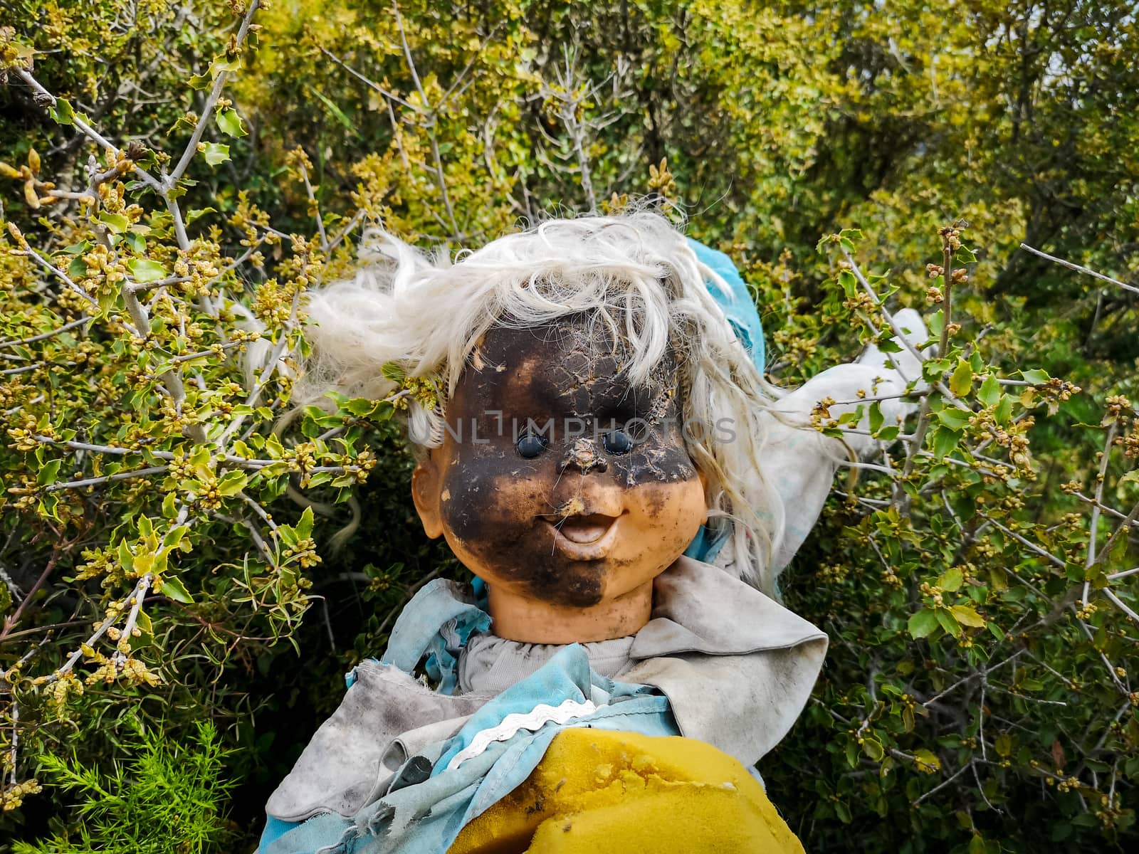 Old doll with face burned in brambles