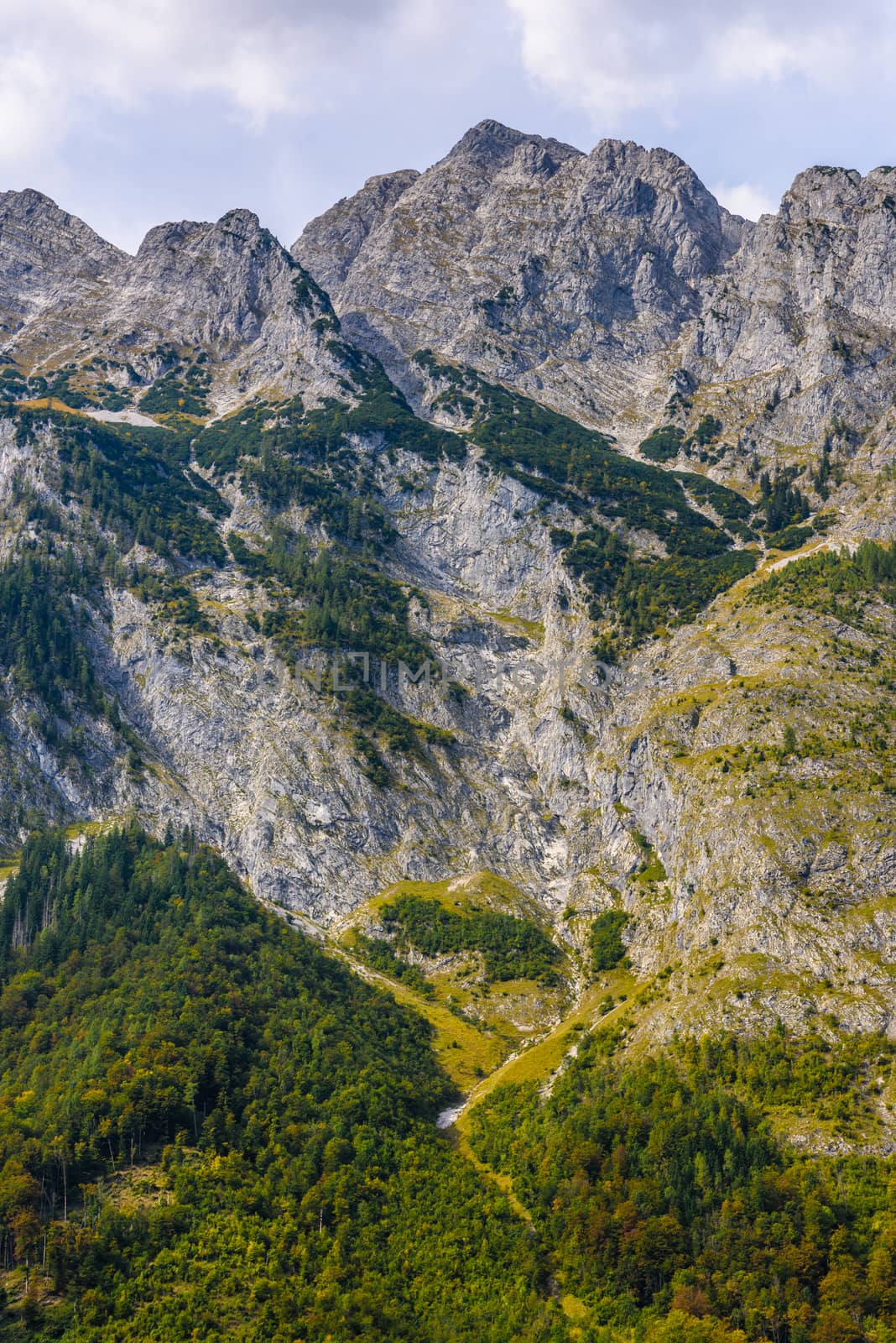 Alps mountains covered with forest, Koenigssee, Konigsee, Berchtesgaden National Park, Bavaria, Germany by Eagle2308