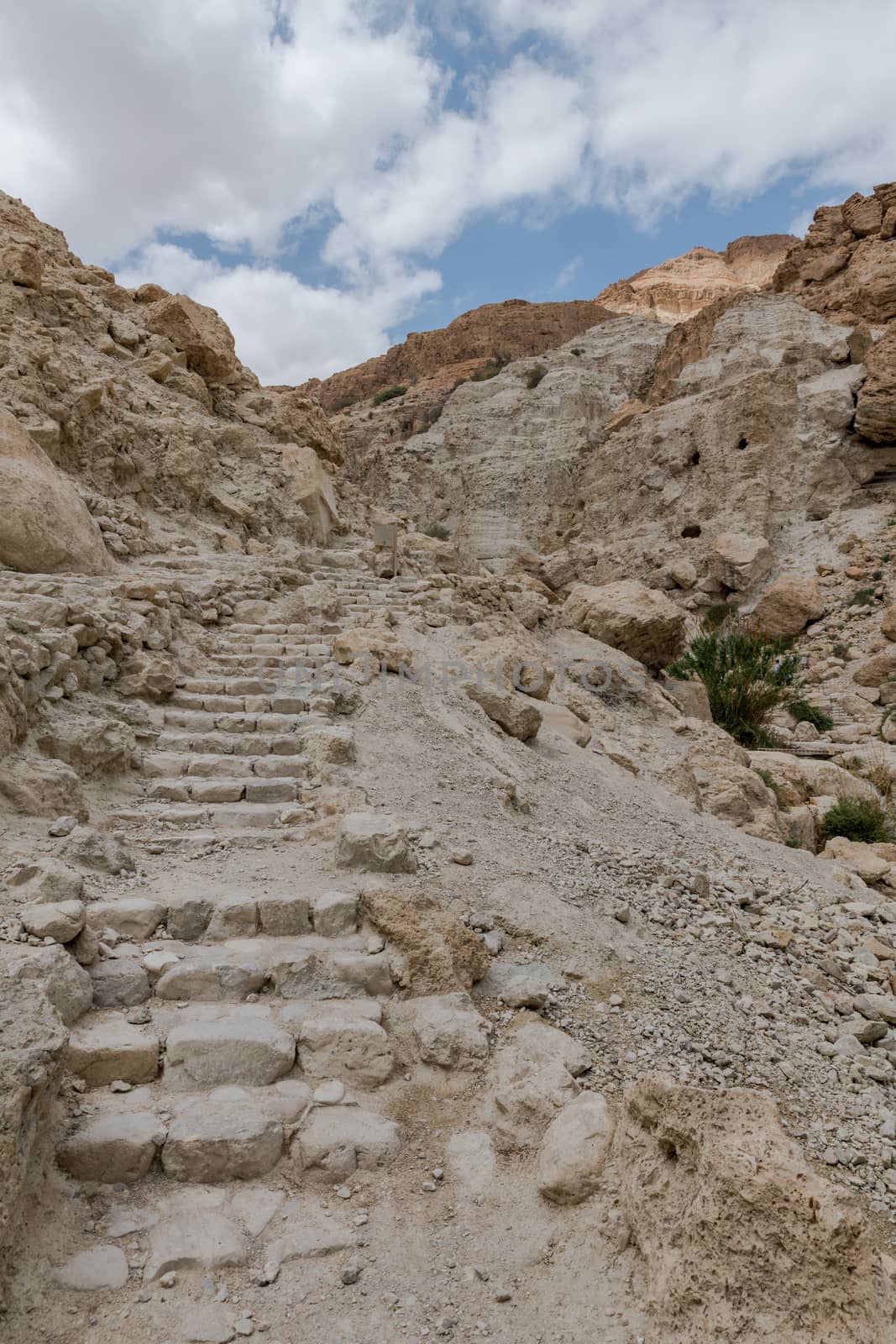 steps to the top of masada mountain by compuinfoto
