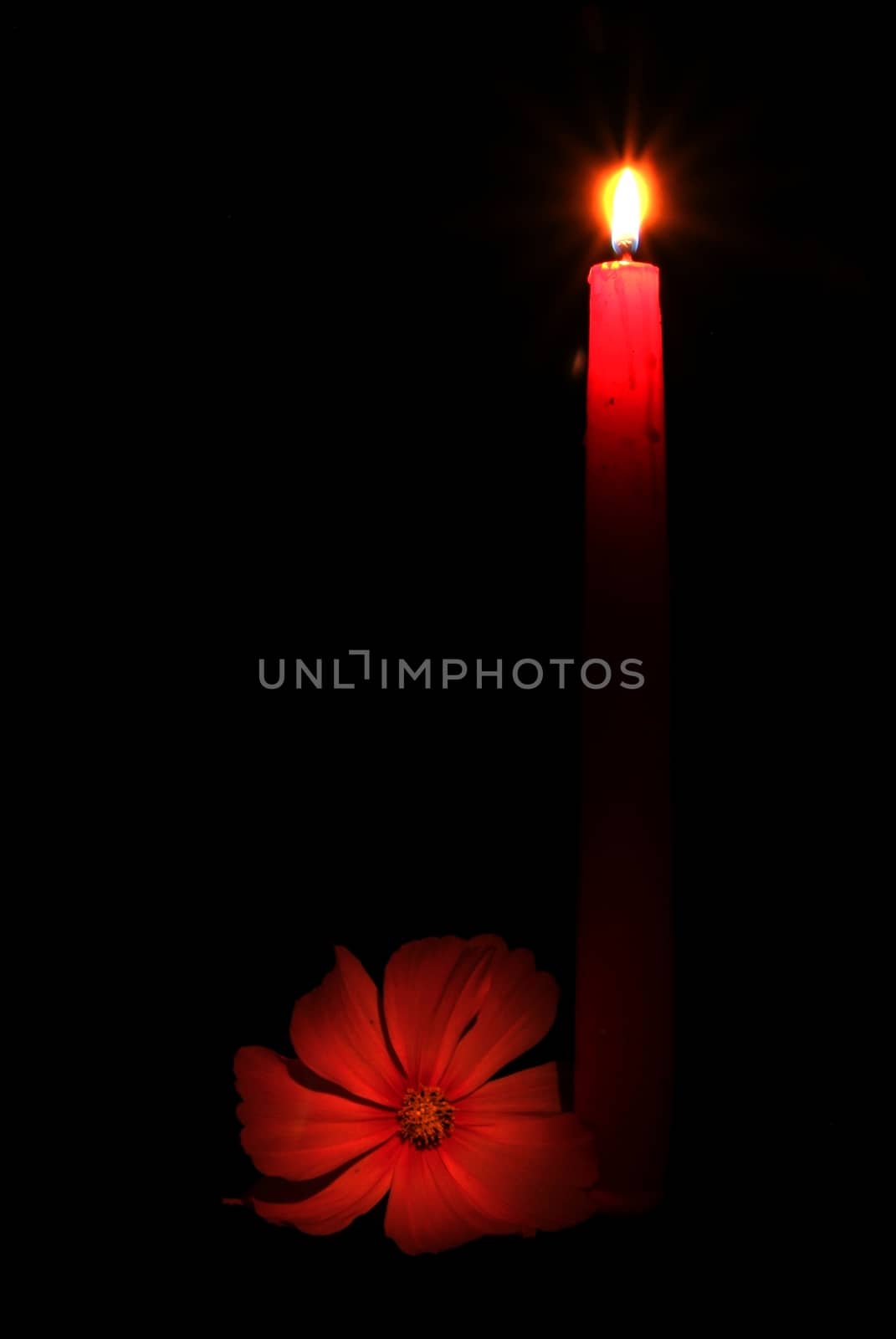 Candles flame close up on a black background