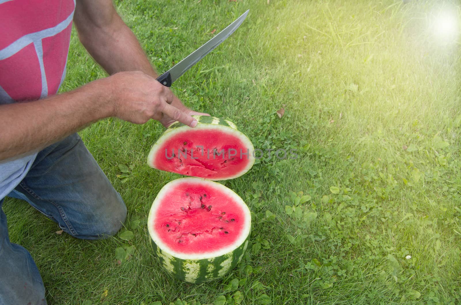 Man in jeans kneels on the grass, cutting with a knife a red ripe watermelon for a summer family dinner by claire_lucia