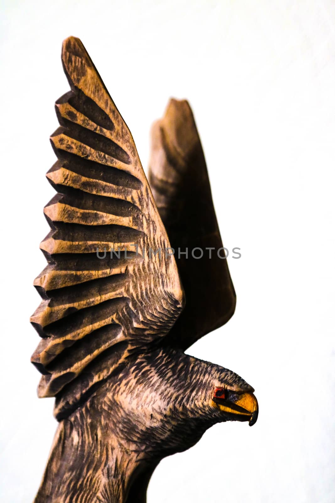 Beautiful wooden figure of an eagle on a white background. by kip02kas
