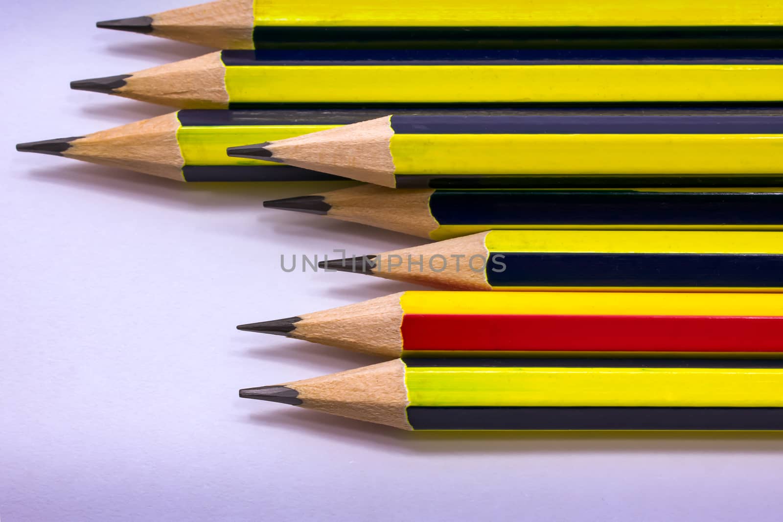 Typical Assortment of Pencils Ready for Use by seika_chujo