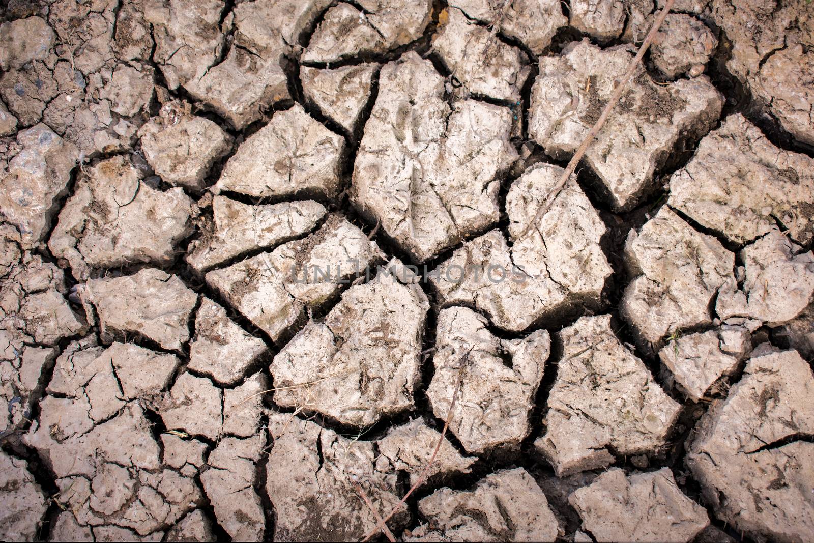 Cracked Dry Ground on a Hot Sunny Day