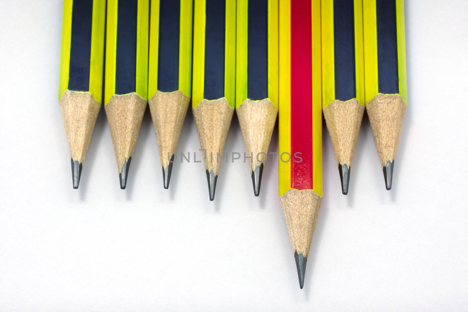 Group of Sharpened Pencil Ready for Use