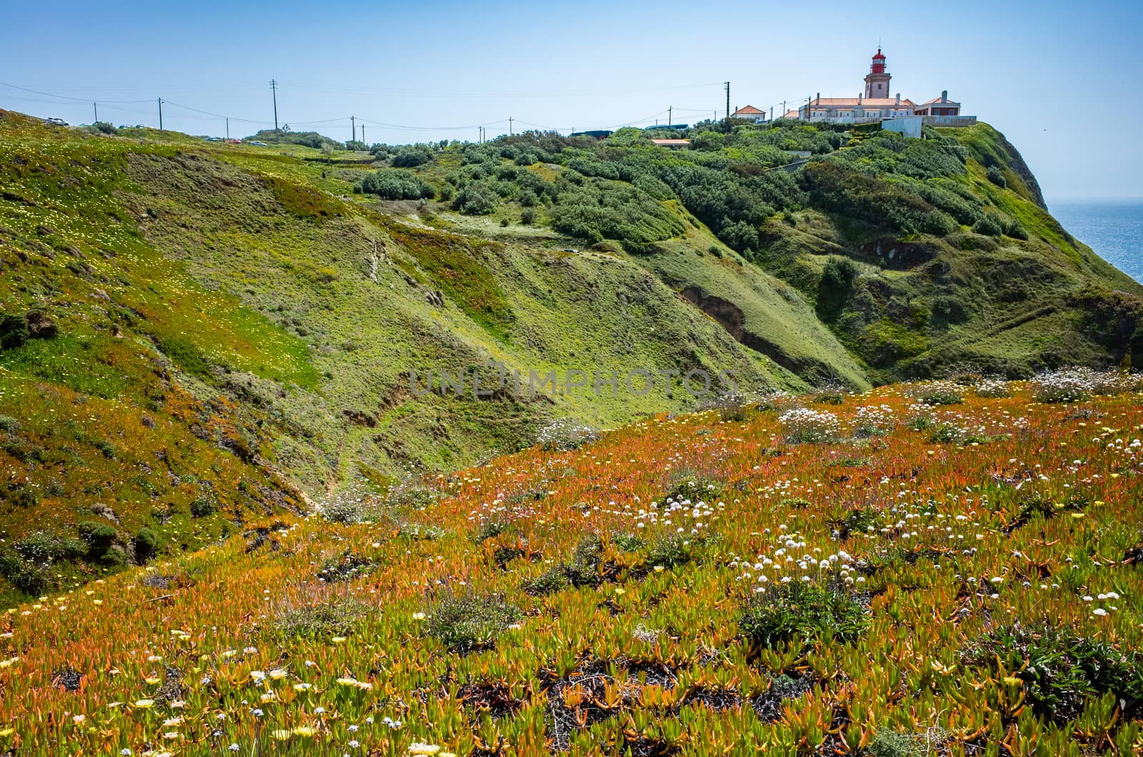 Lighthouse and wildflowers bloom at Cabo da Roda, Sintra, Portugal