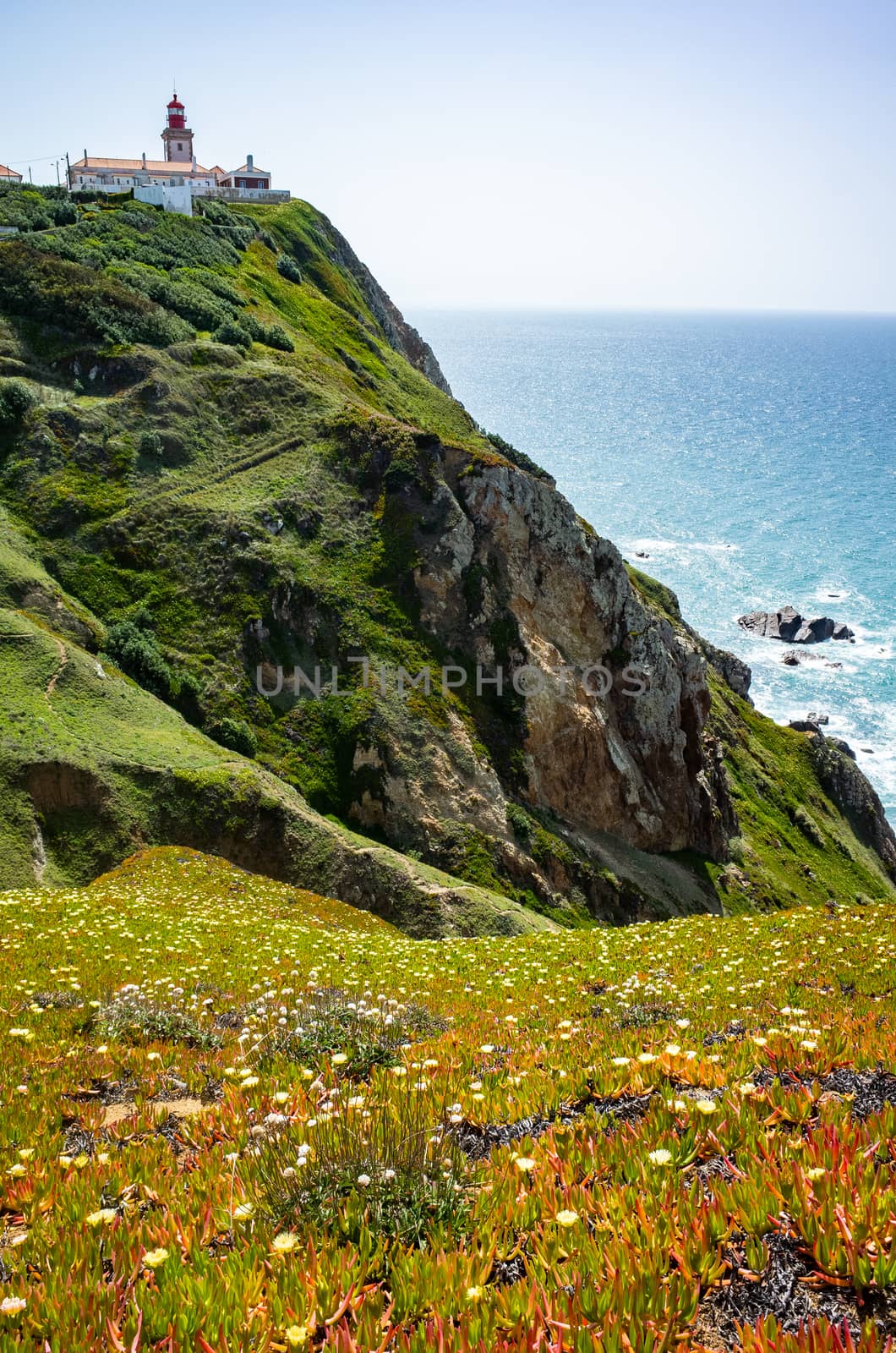 Lighthouse and wildflowers bloom at Cabo da Roda, Sintra, Portugal