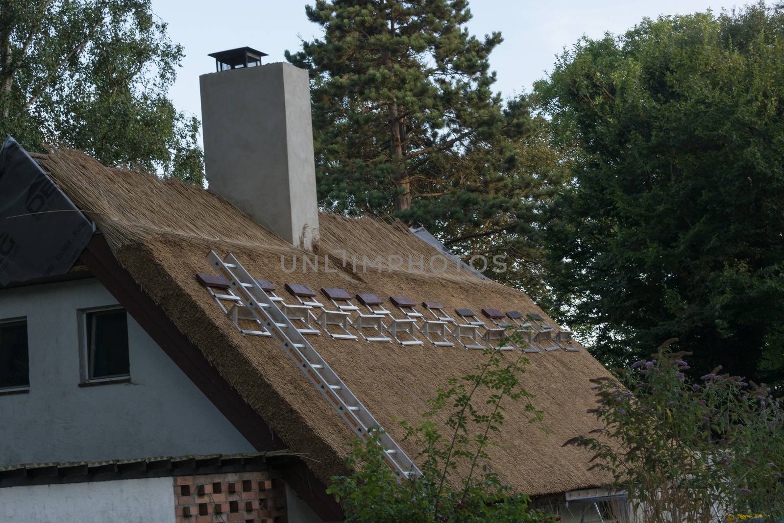 Professional execution of a repairs to a thatched roof