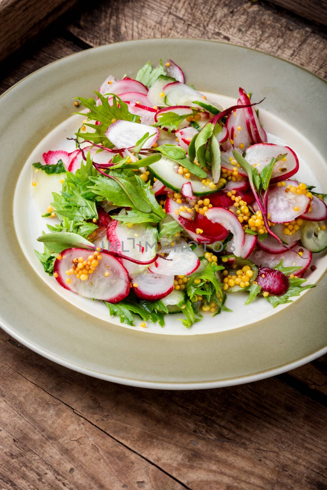 Healthy vegetarian salad with radish on kitchen table