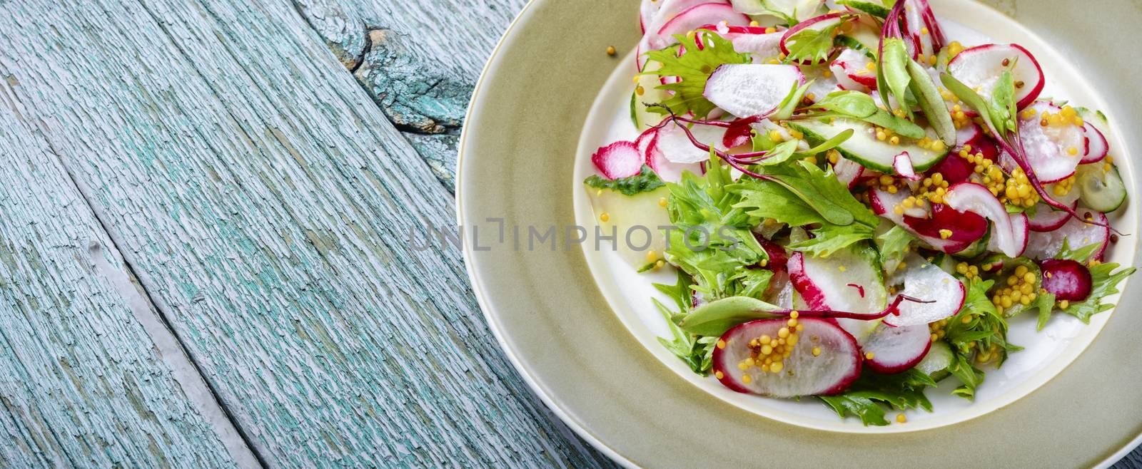 Healthy vegetarian salad with radish on kitchen table.Long banner