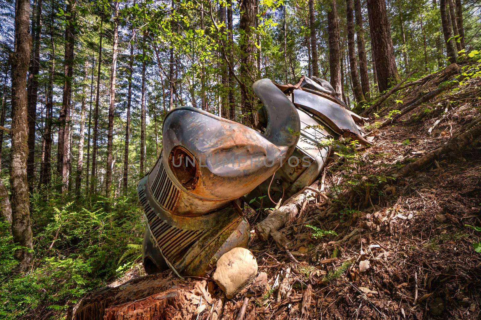 An abandoned classic vehicle rusts in a Northern California forest.