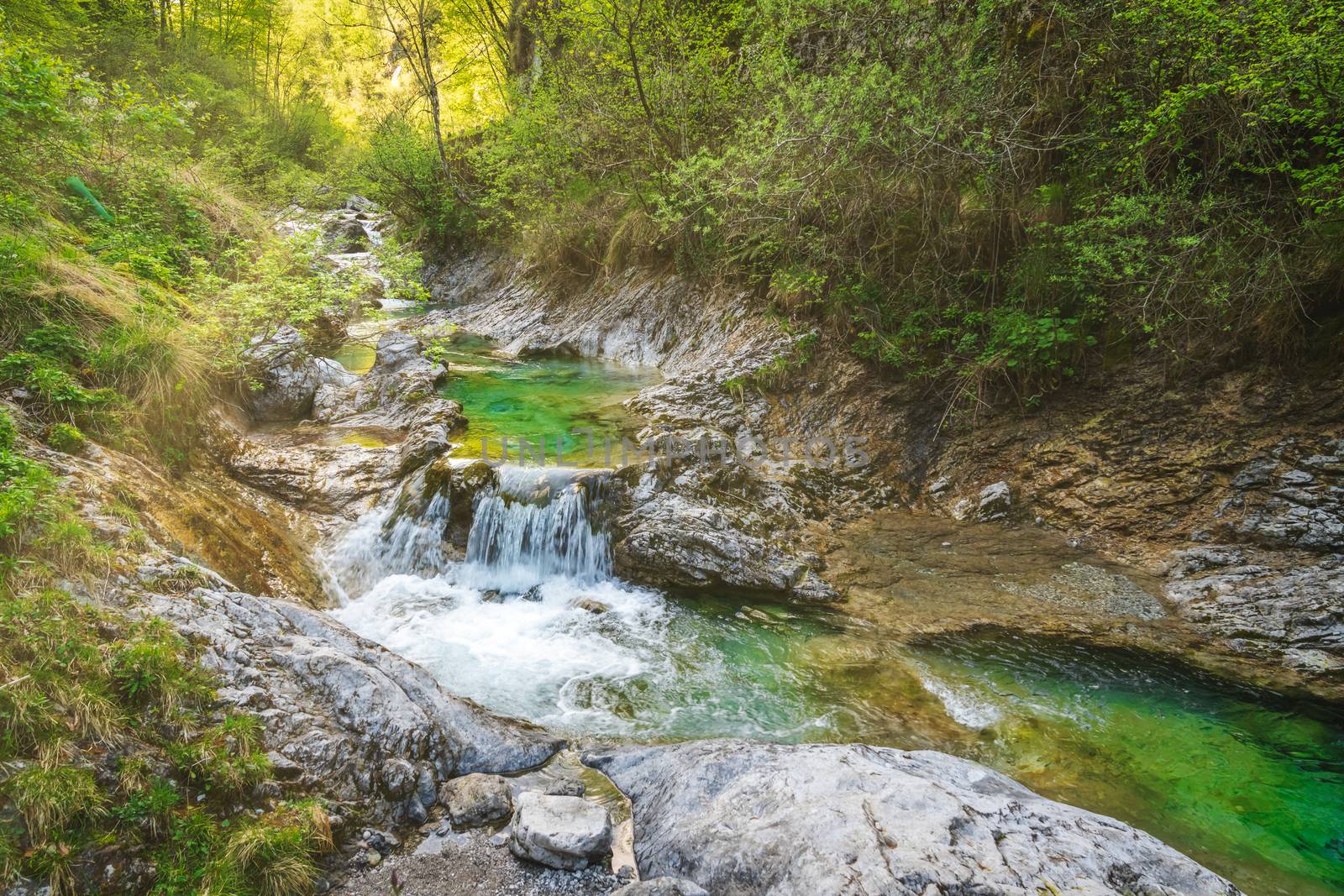 Tiny waterfall at the Vertova Torrent by Robertobinetti70