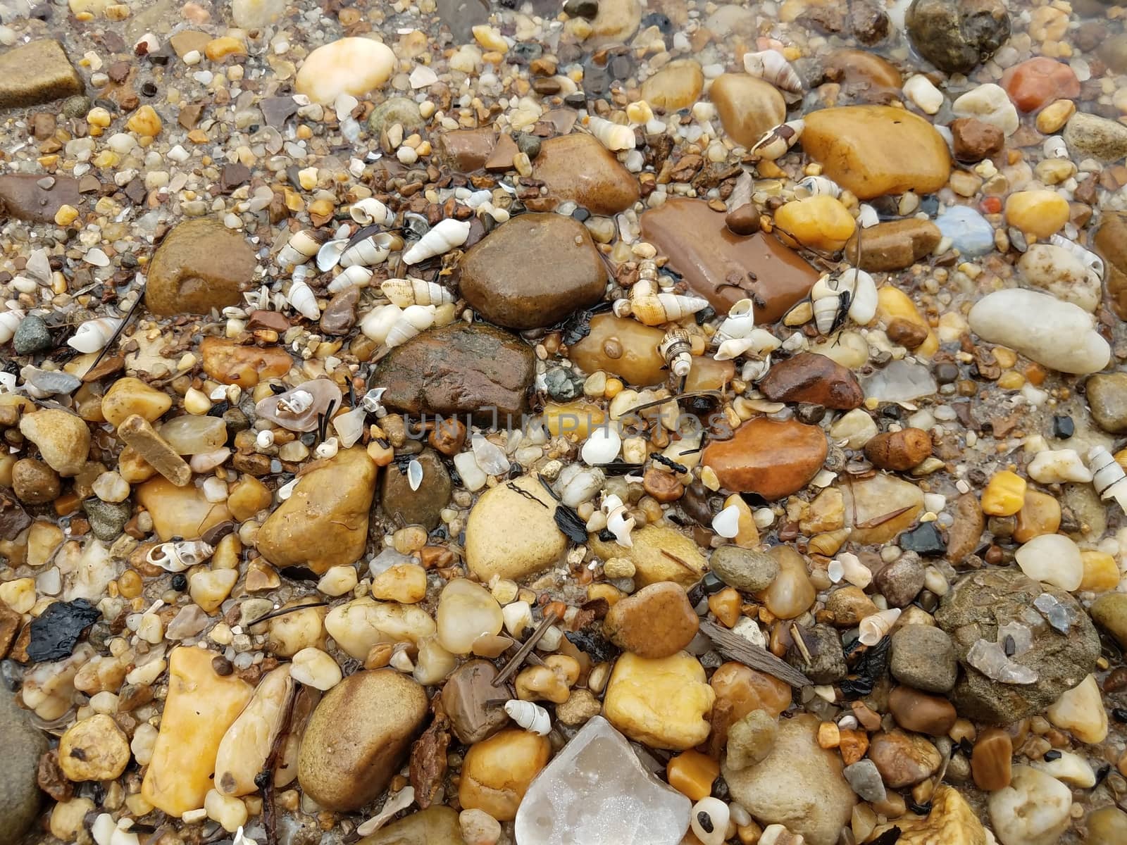 water and stones or pebbles and shells at the shore at the beach