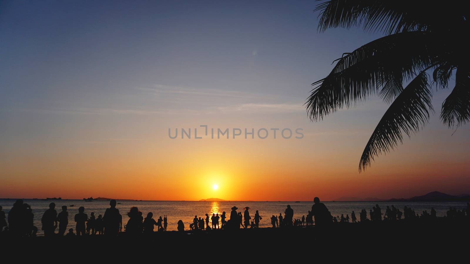 Sunset landscape. beach sunset. palm trees silhouette on sunset tropical beach, China