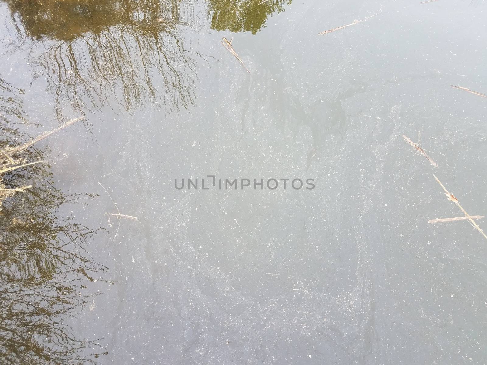 dirty or murky stagnant water with reflection of grasses and plants