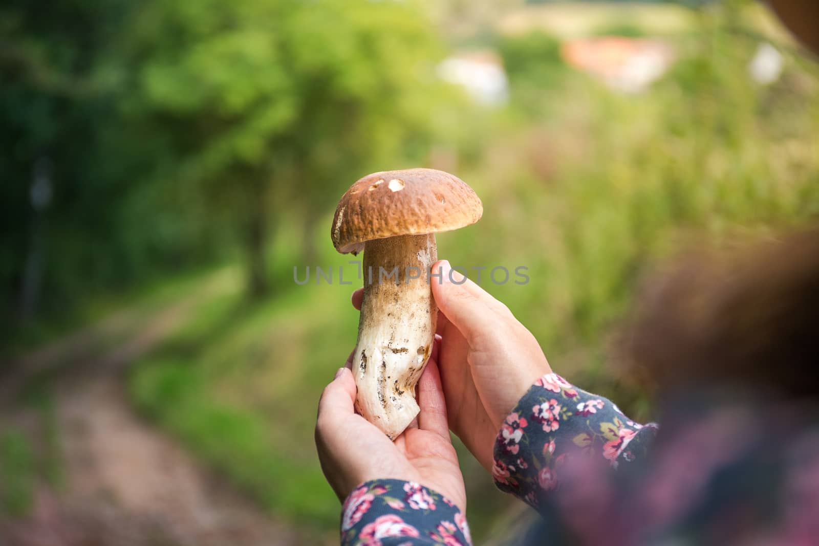 Girl found beautiful mushroom in the woods - boletus.